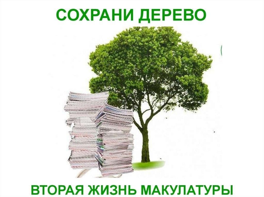 Правила и условия проведения Всероссийской акции по сбору макулатуры «БумБатл» в 2024 году.