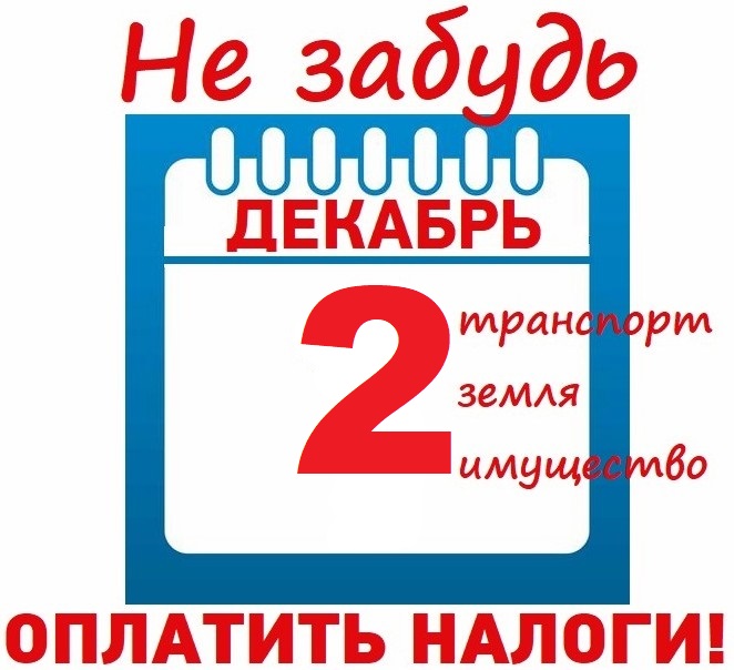 2 декабря 2024 года — срок уплаты имущественных налогов для физических лиц, имеющих в собственности имущество (квартиры, жилые дома, гаражи, земельные участки, транспортные средства) за 2023 год.